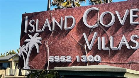 island cove 2024